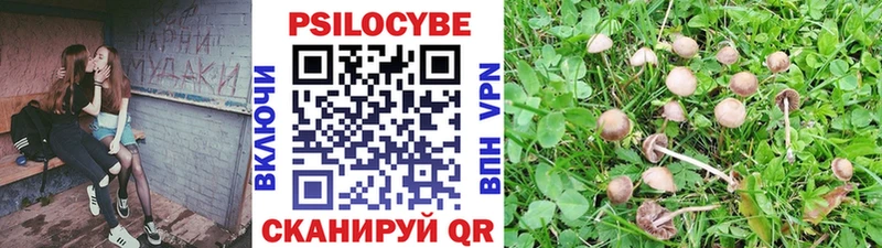 Галлюциногенные грибы мухоморы  Купить  Гурьевск 